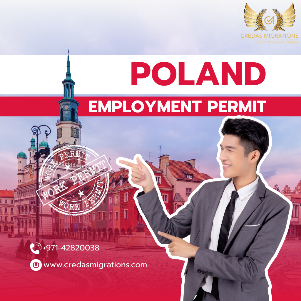 Job Search Strategies for Success with Poland's Job Seeker Visa